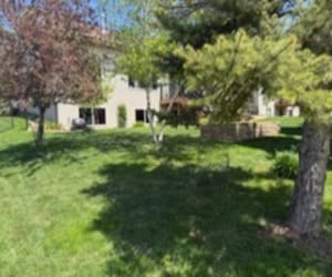 Spring Cleanup Lakeville