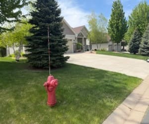 Spring Cleanup Lakeville