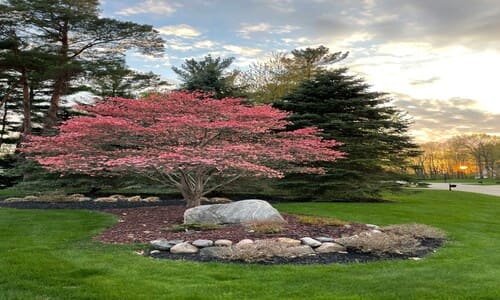 Glencoe Spring Cleanup