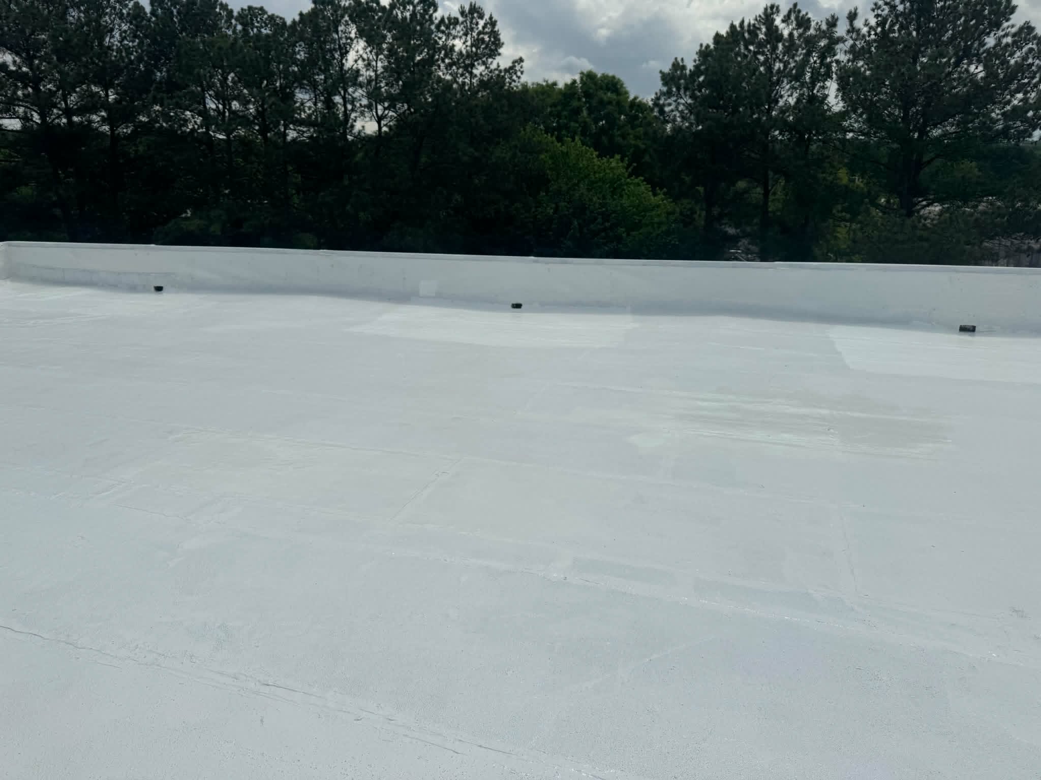 Roof coating project