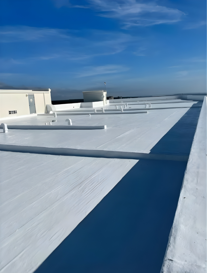 Roof coating project