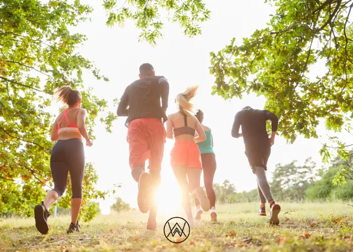 Wellness Chiropractic image
