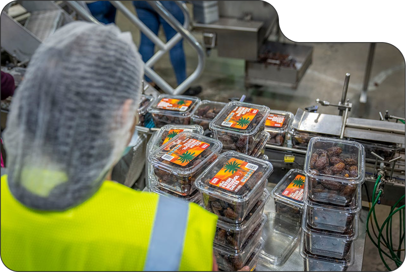 Food Production