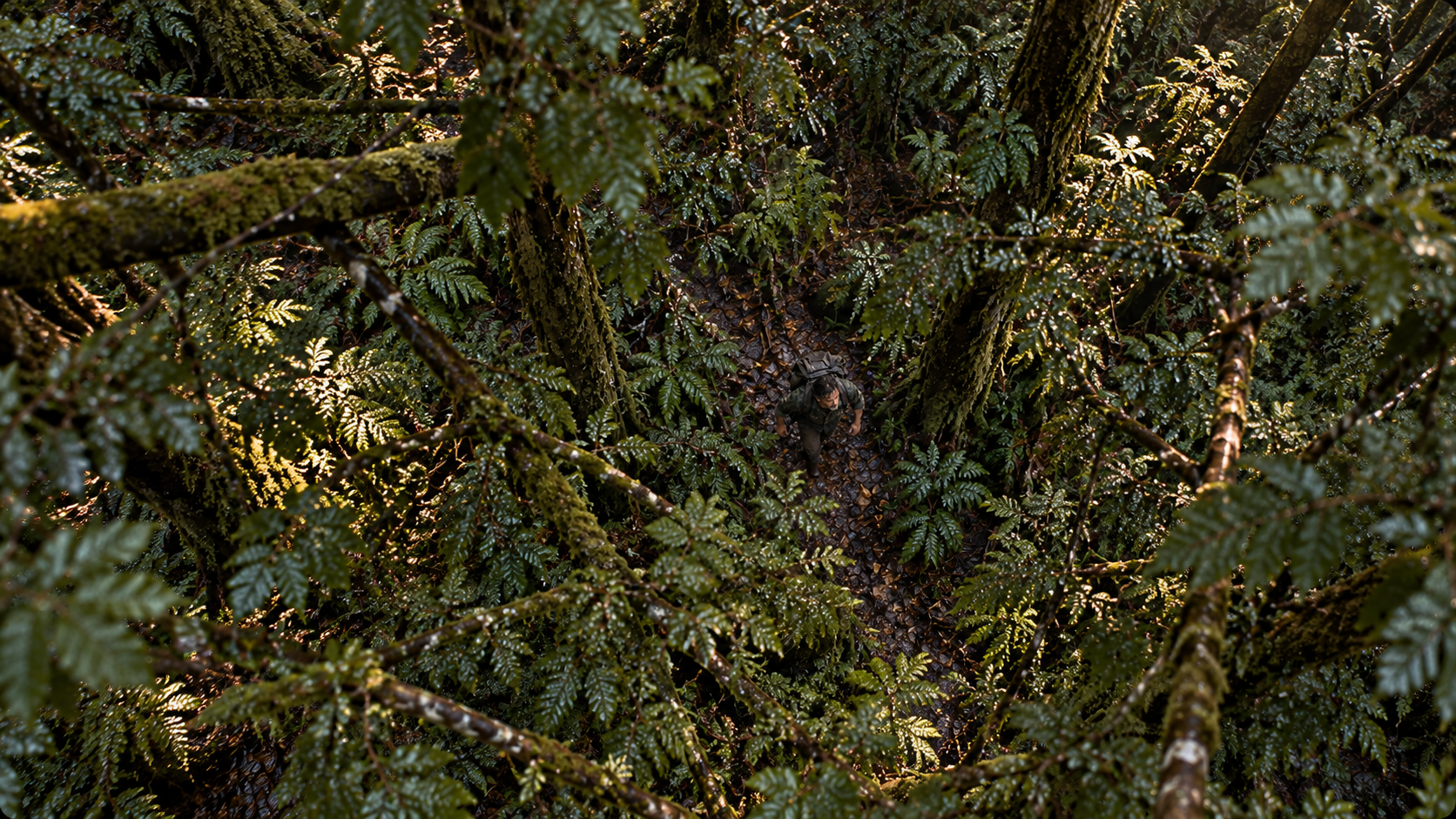Wild Grounds storyboard frame 3
