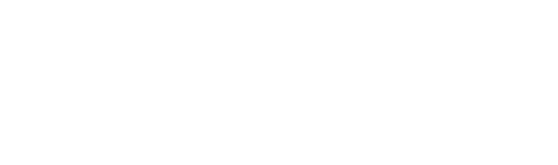 357 Travels Logo