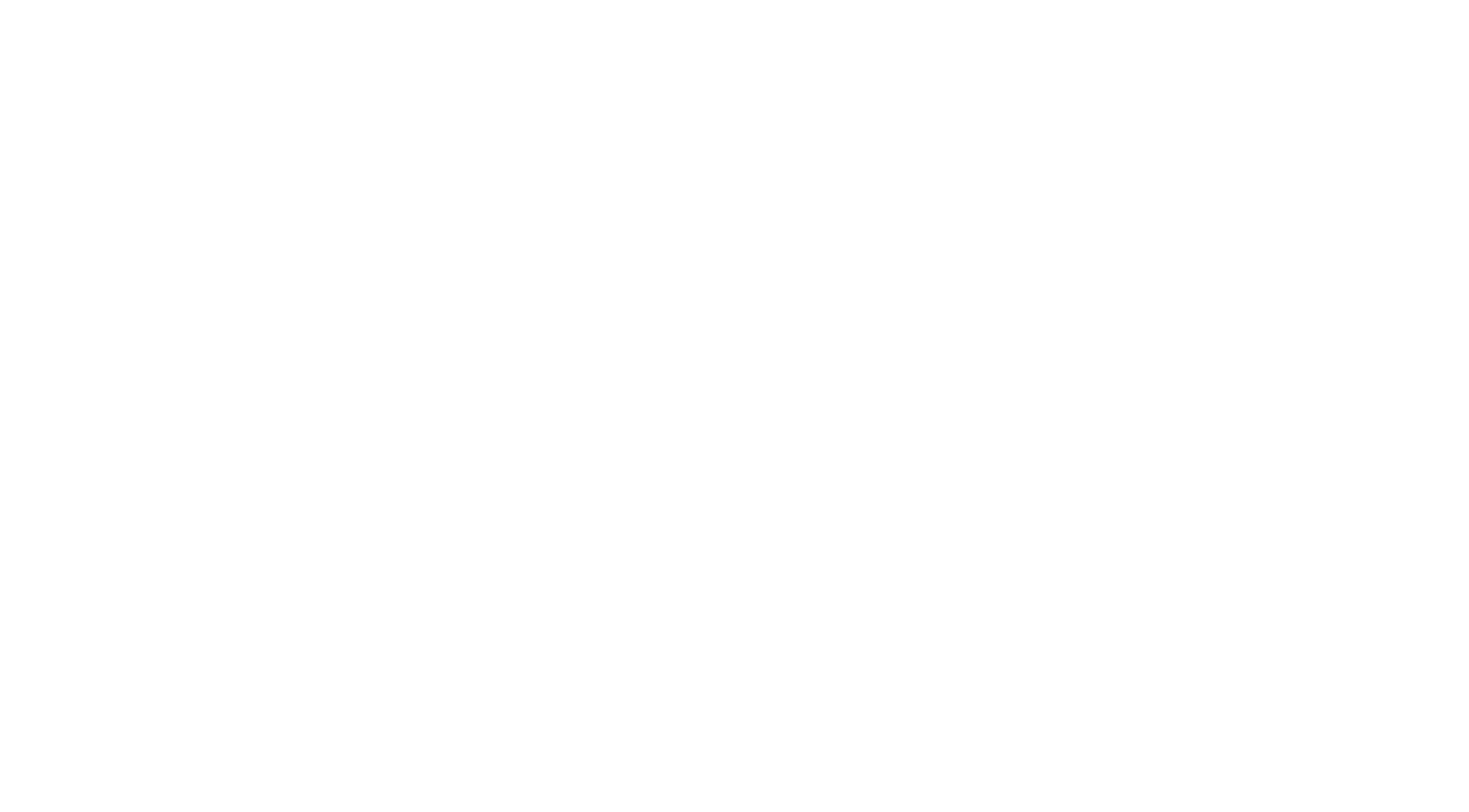 بصير