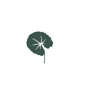 Loading animation