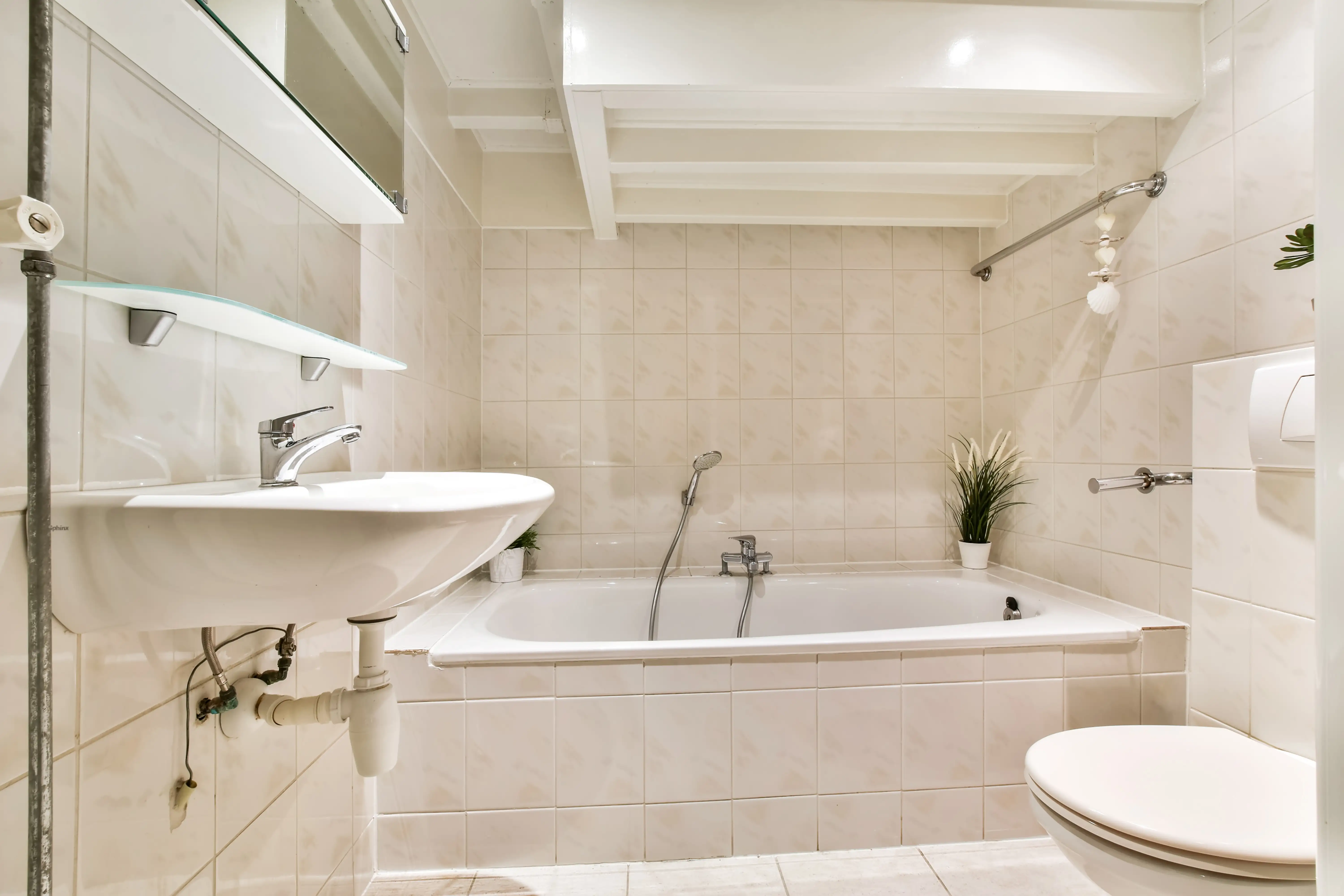 Home Improvement in Edison