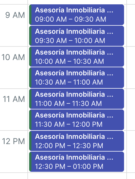 Agenda diaria con consultas confirmadas cada media hora