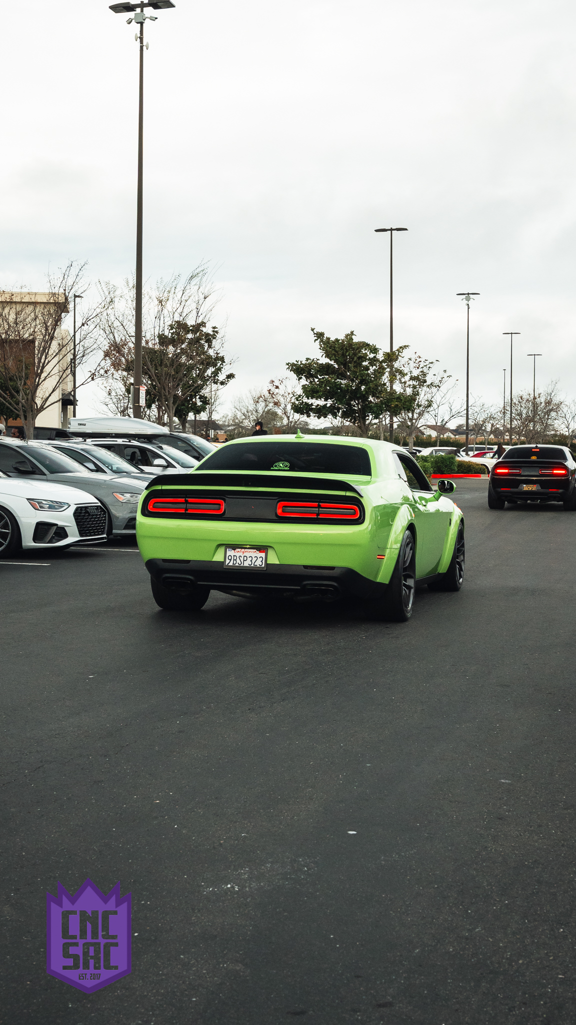 Green Dodge Challenger, rear view, in a parking lot