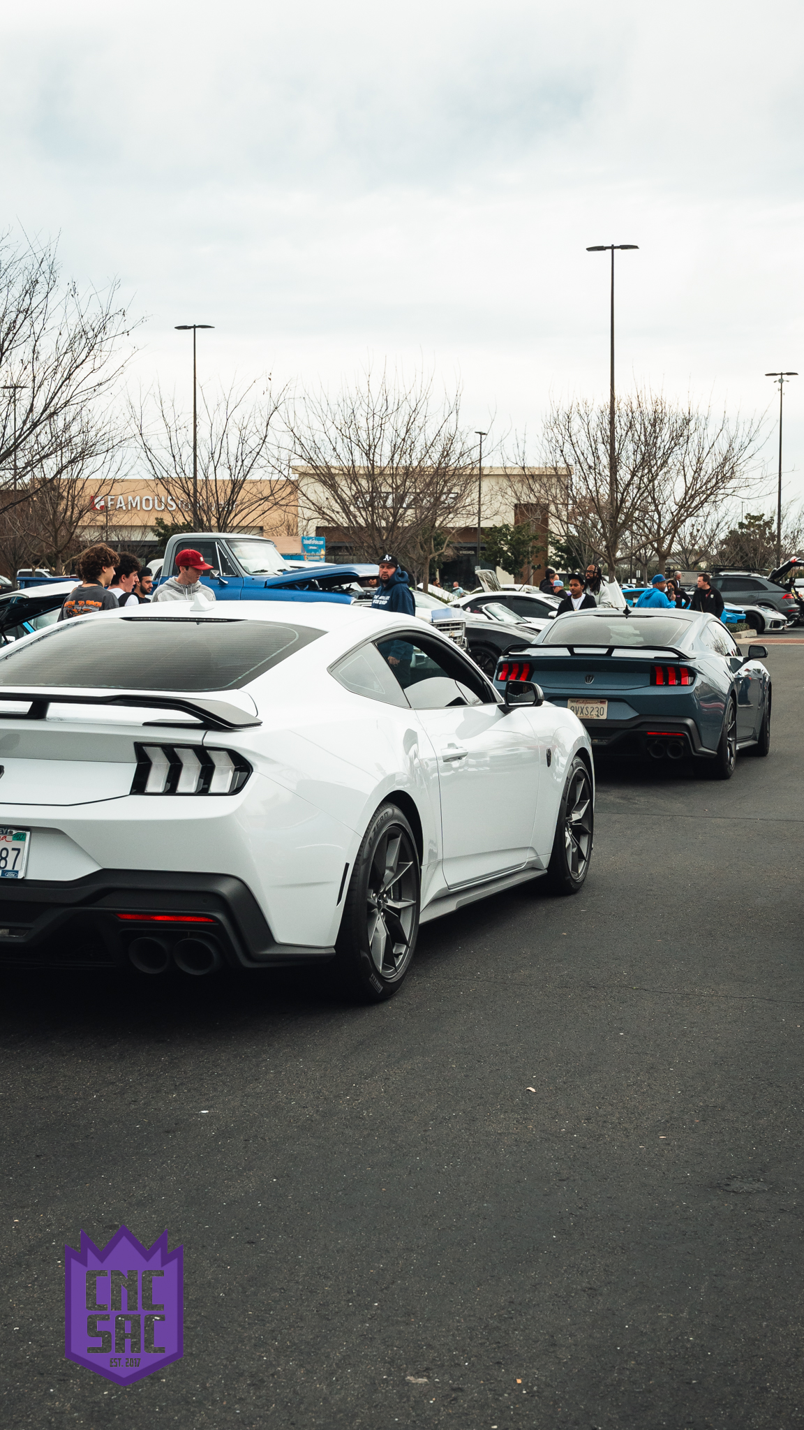 White Ford Mustang, rear three quarter, parked at an event