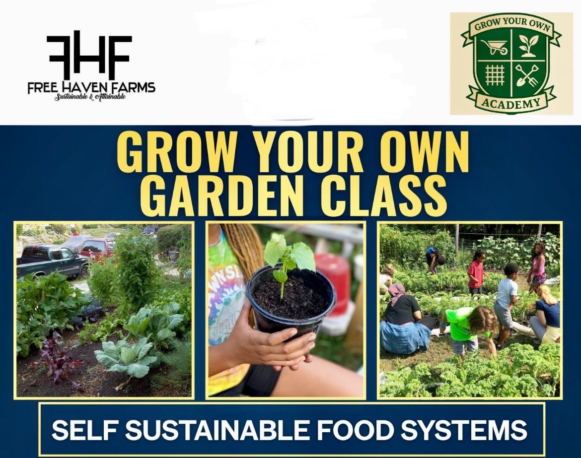 Grow Your Own Garden: Beginner’s Guide to Food Independence