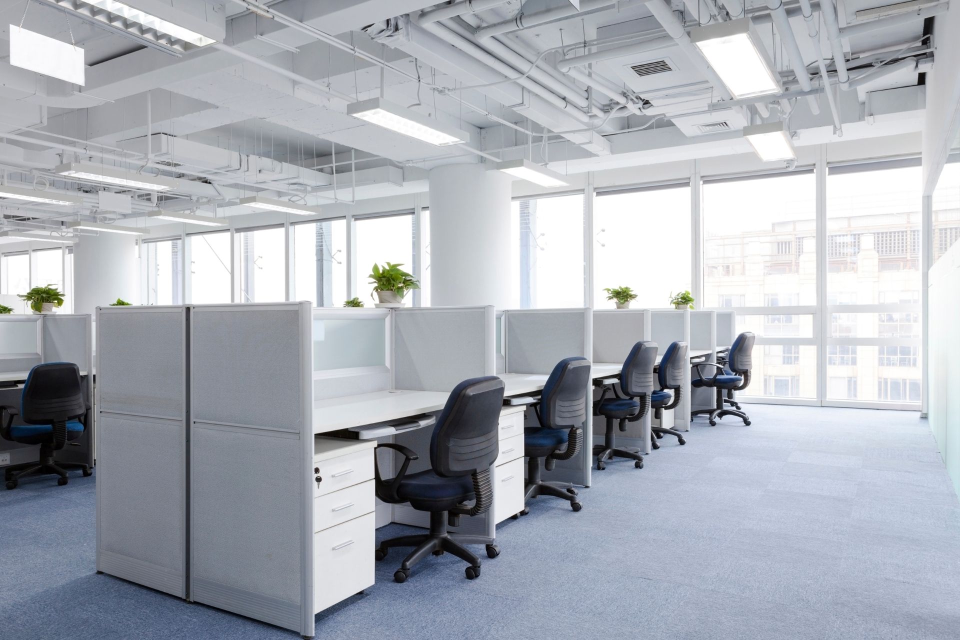 Business & Office Cleaning in Salt Lake City