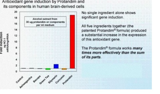 A Pioneering NRF2-Activating Formula