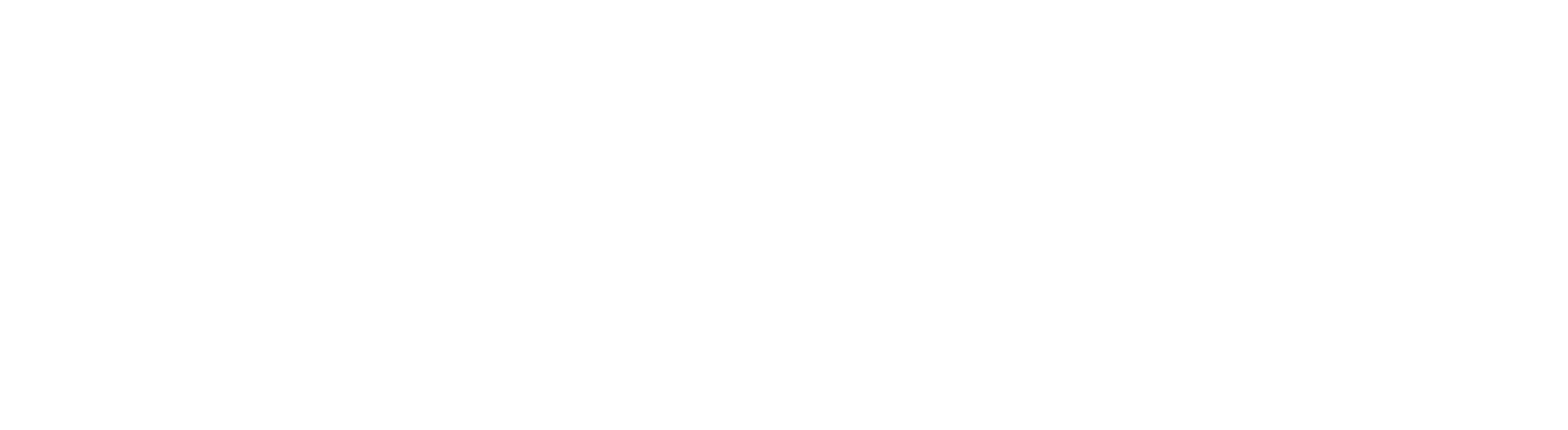 dance dynamics logo