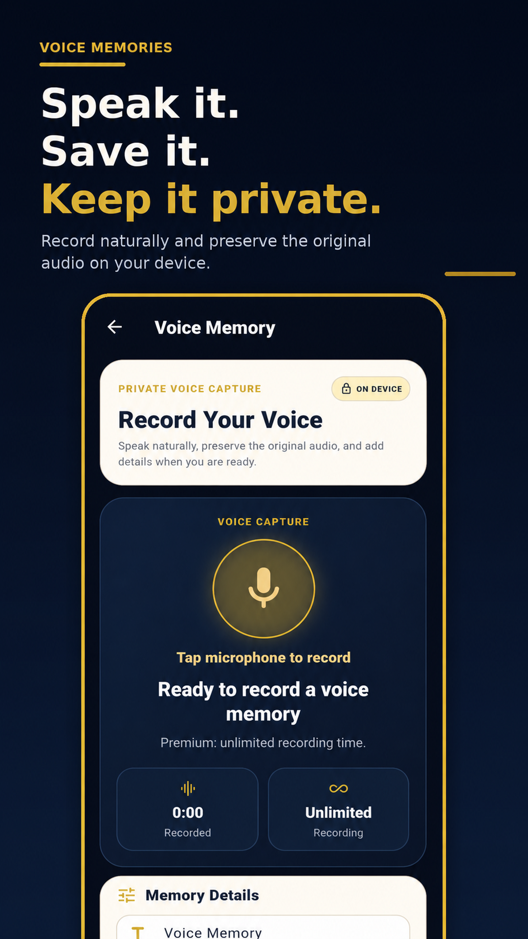VoiceVault preview 3
