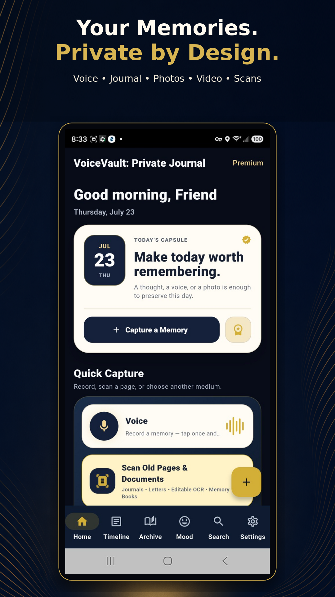 VoiceVault preview 2