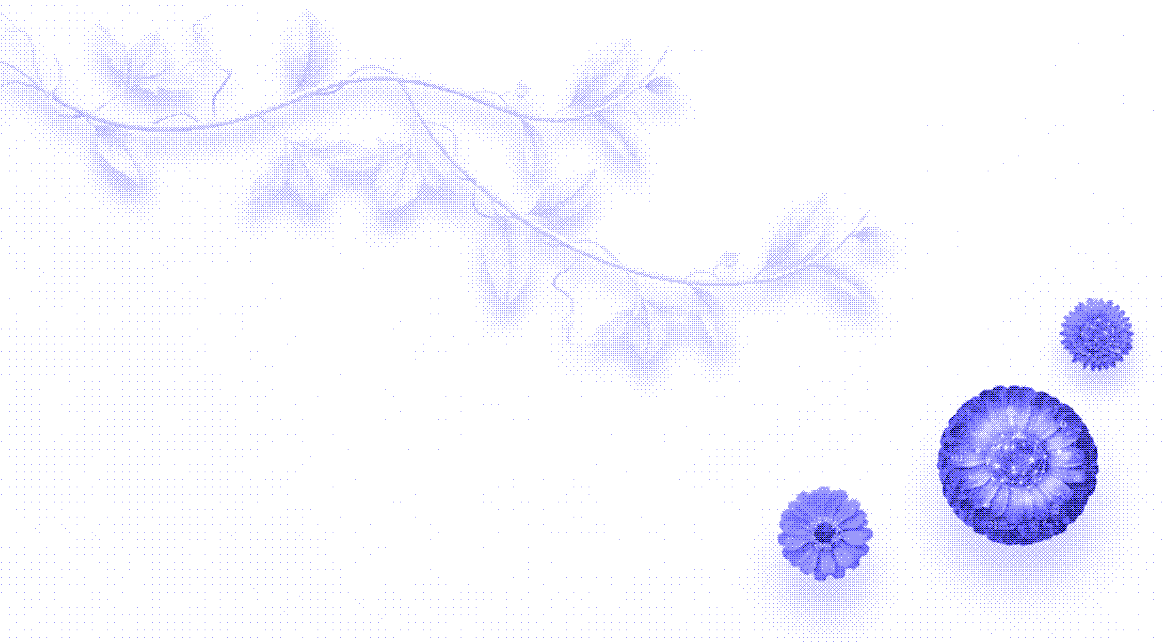 Solunion.ai – Jetzt Erstgespräch buchen