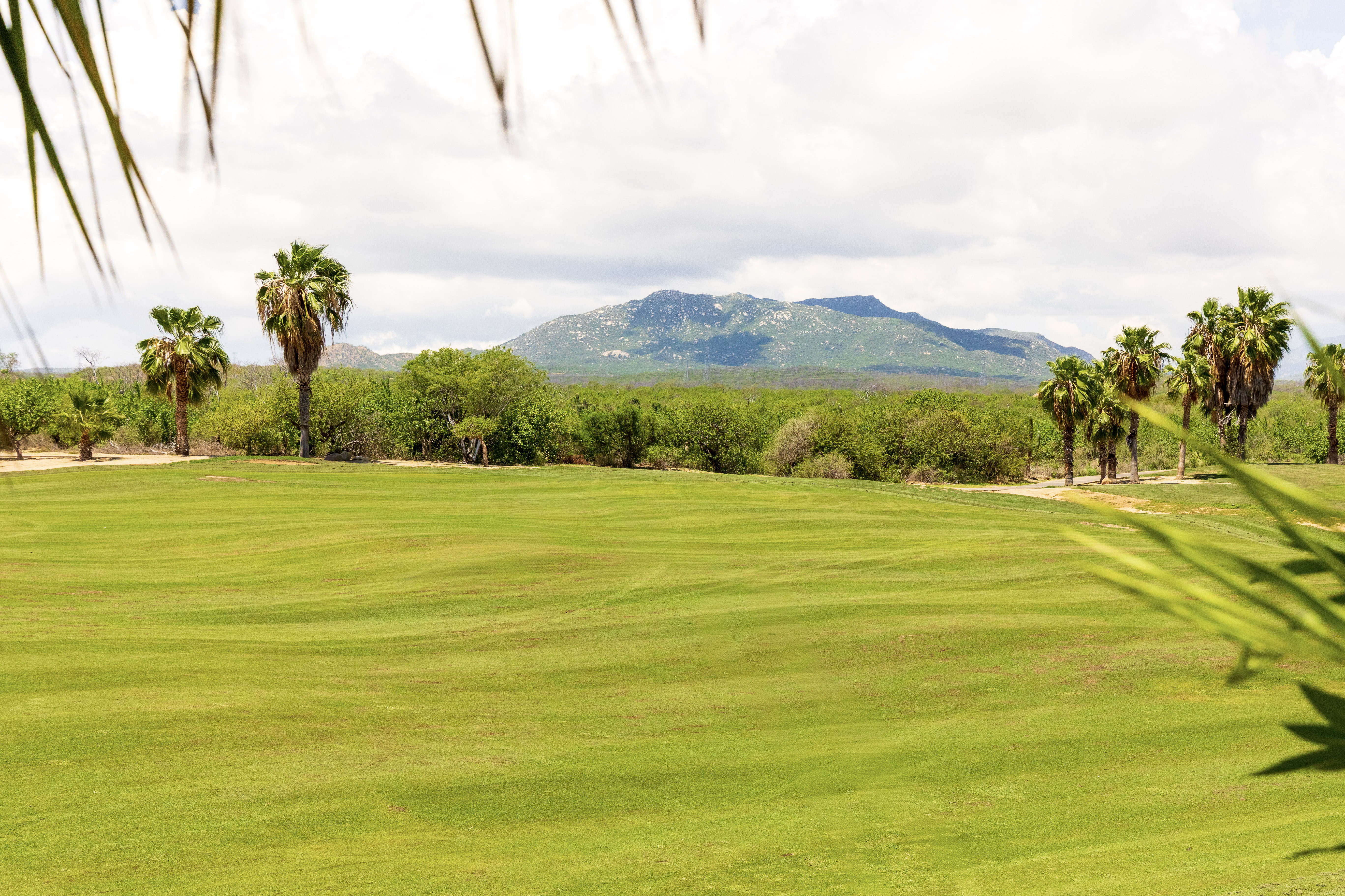 Golf course and mountain view