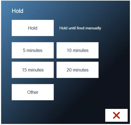 The Hold box with Hold, 5, 10, 15 and 20 minutes, and Other