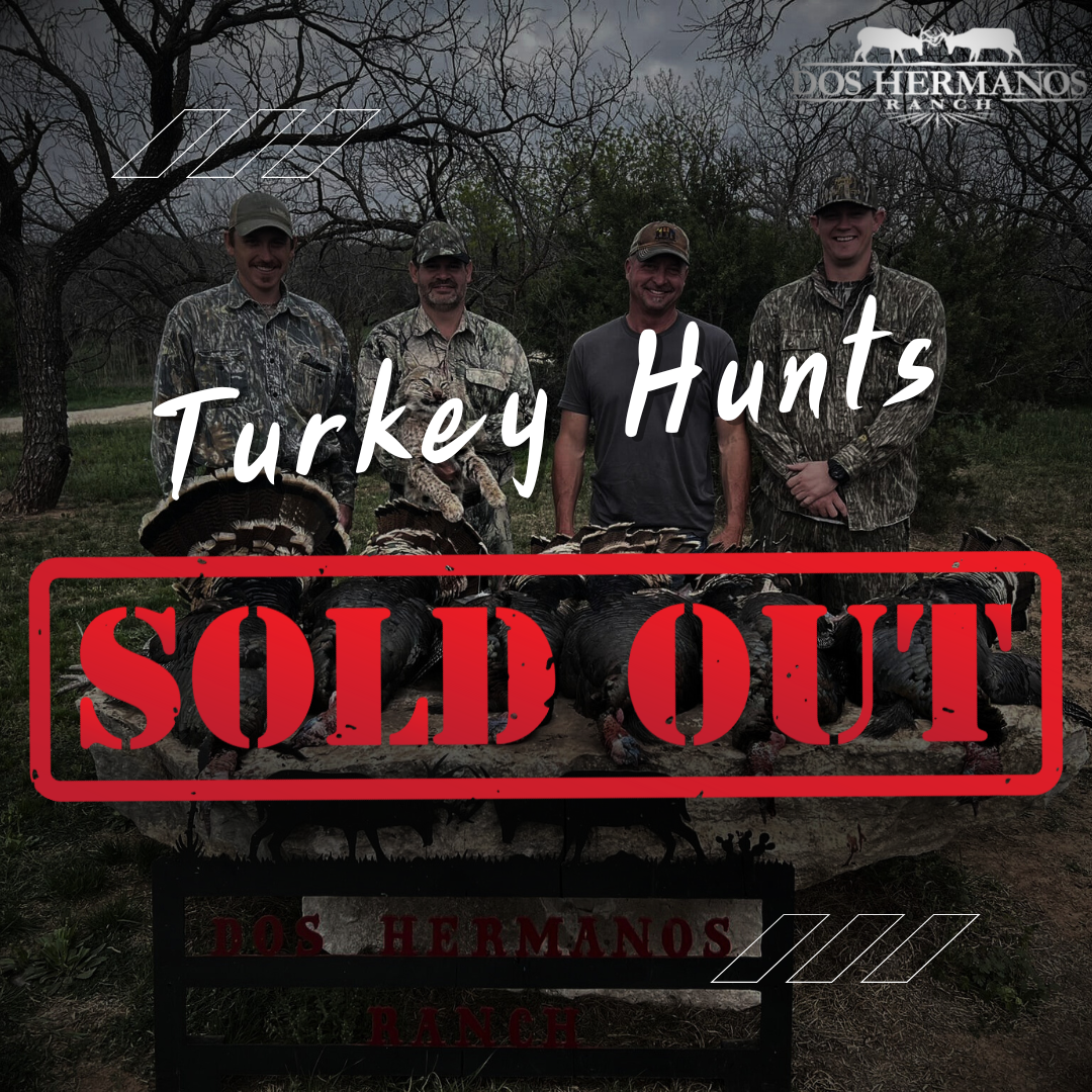 Texas Turkey Hunting