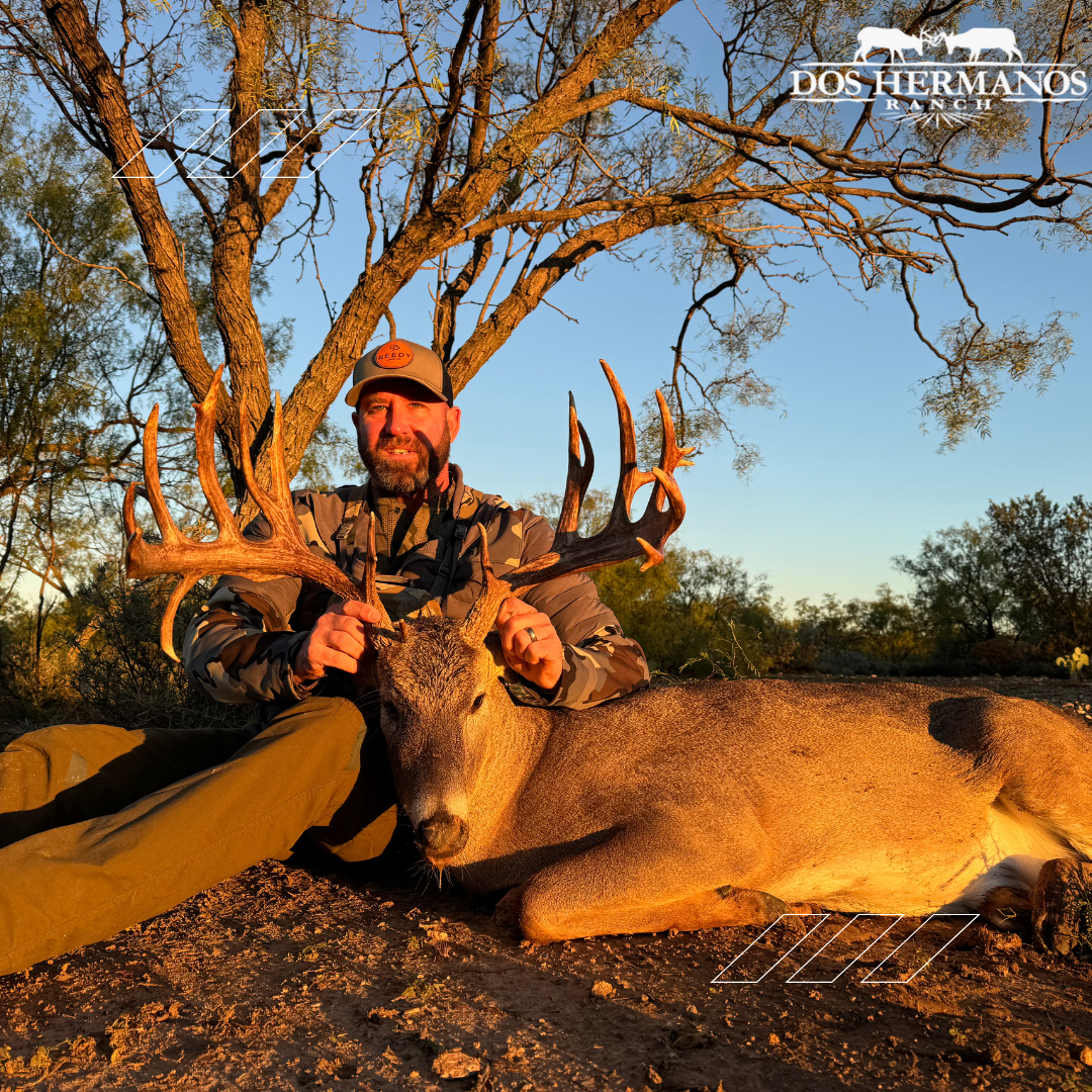 TexasWhitetail