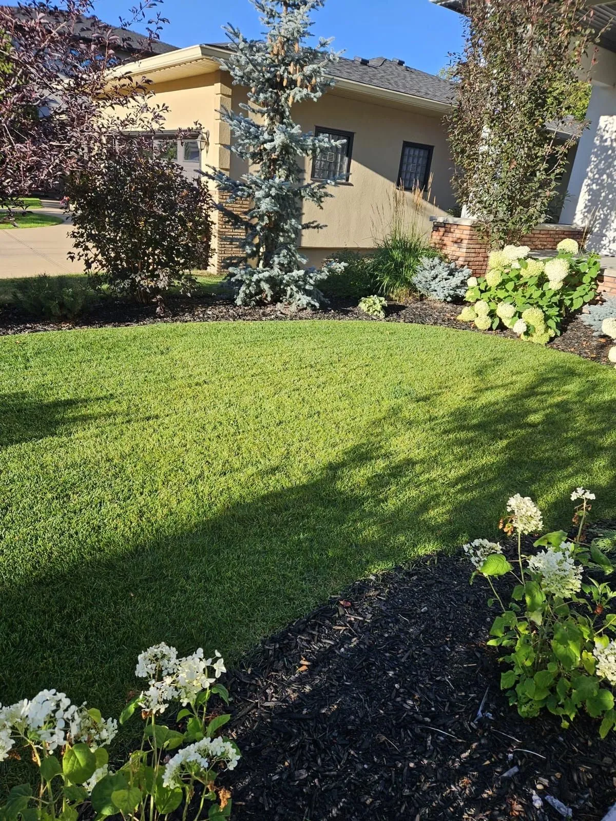 Vision brought to life mural work