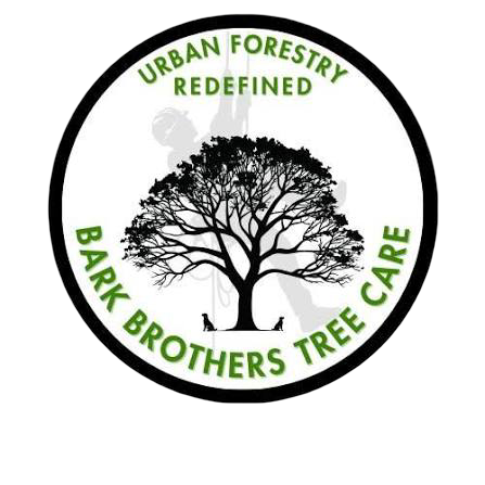 Tree Care Services Innisfil