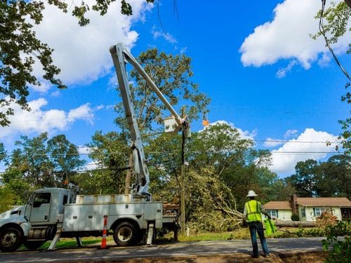  Emergency Storm Damage Tree