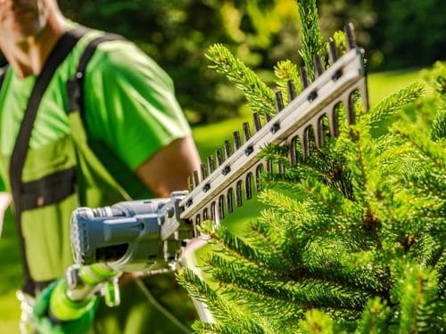Barrie Hedge and Bush Trimming