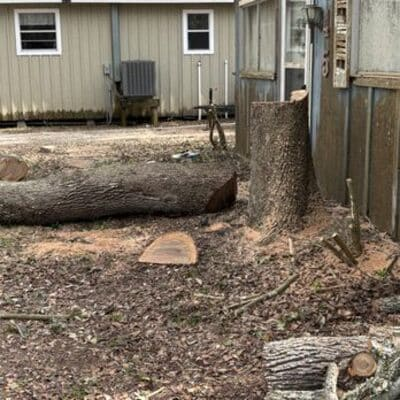  Emergency Storm Damage Tree