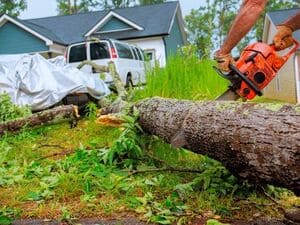  Emergency Storm Damage Tree