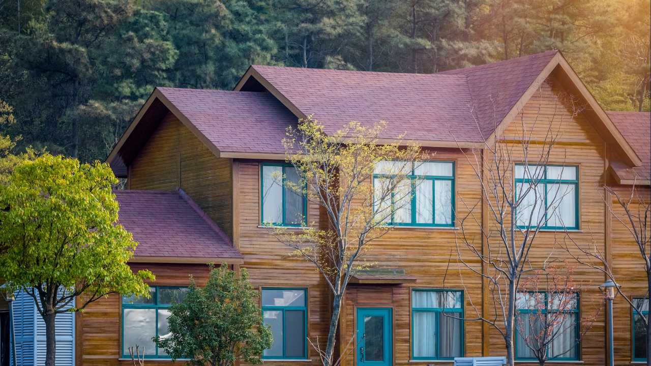 Little Rock Washington Roof Cleaning Moss Treatment Moss Removal