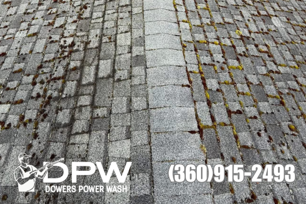 moss removal and treatment grand mound washington