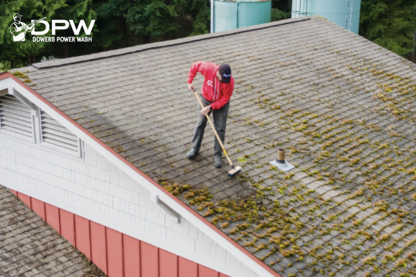 Yelm moss removal and treatment services