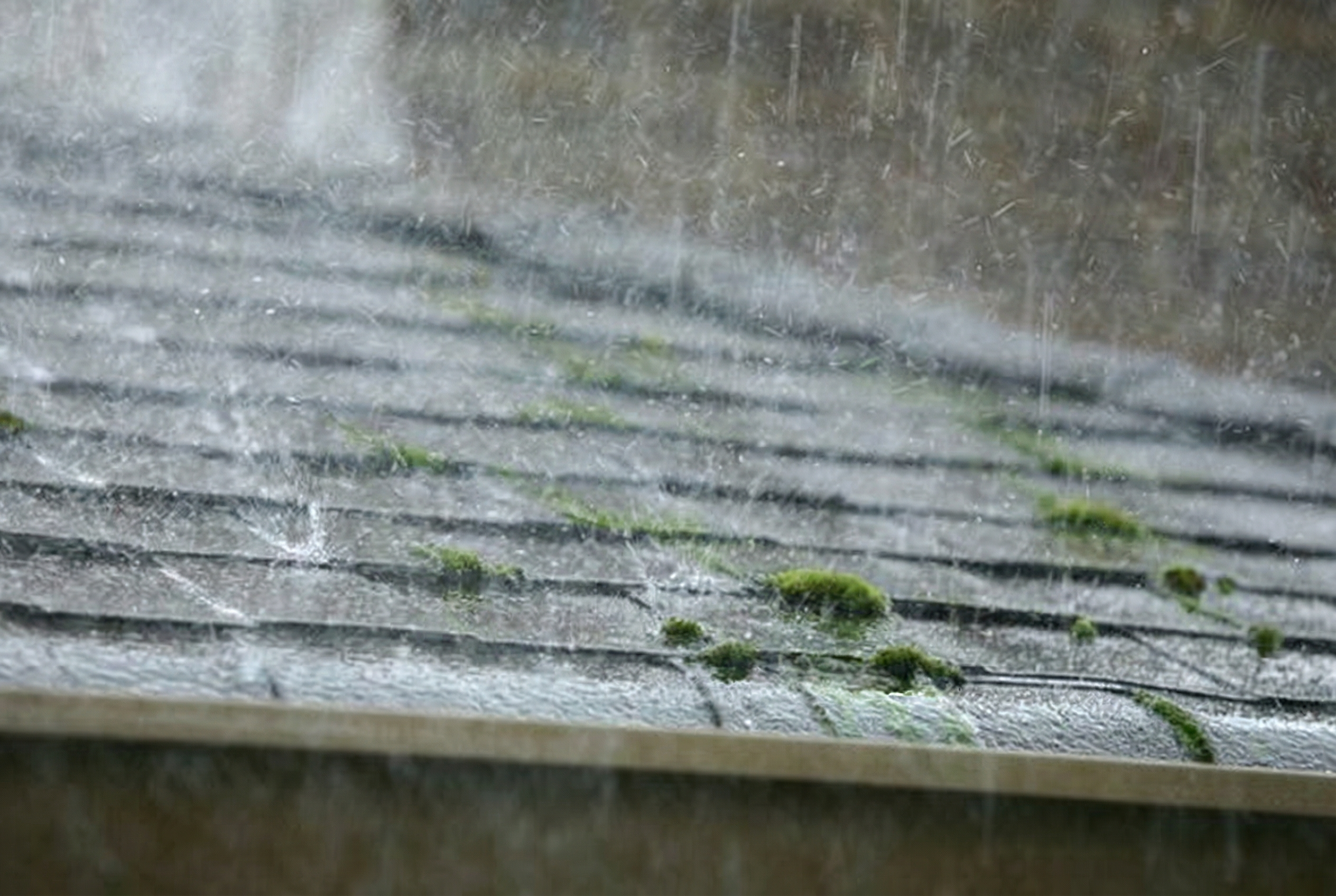roof cleaning moss treatment Sunnydale Washington roof cleaning moss treatment Sunnydale Washington