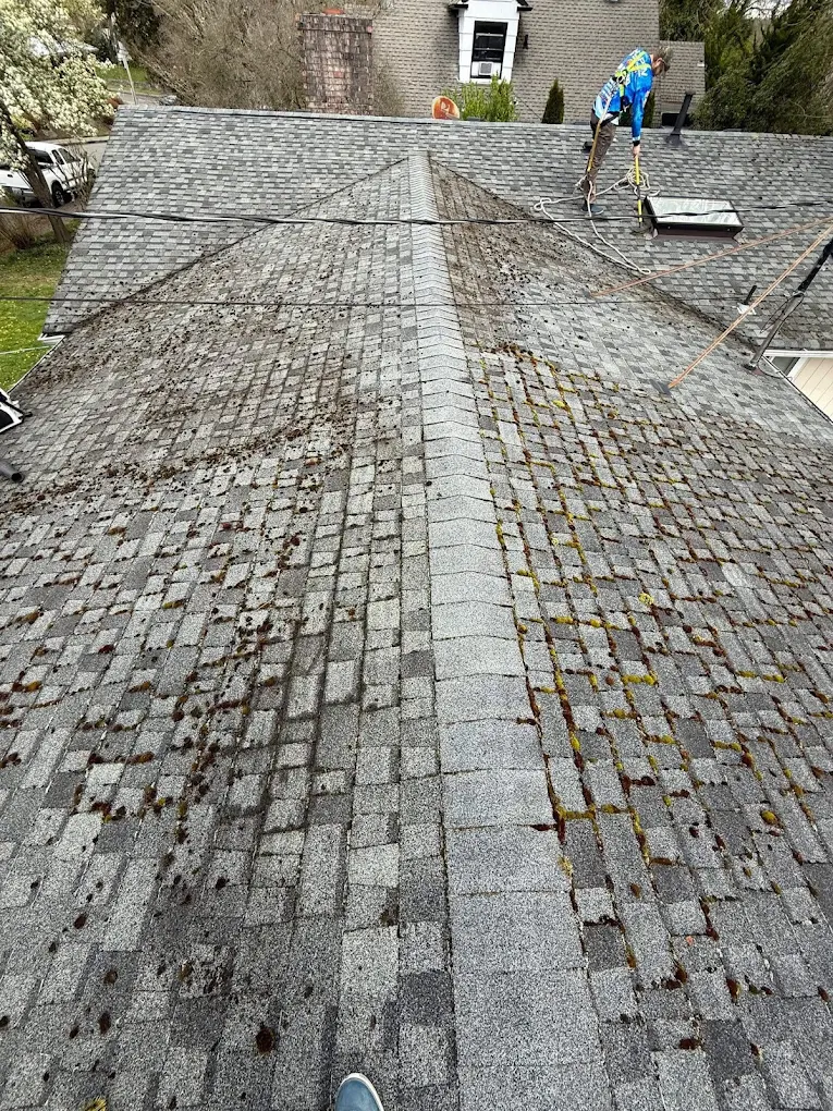 pressure washing roof cleaning Little Rock Washington
