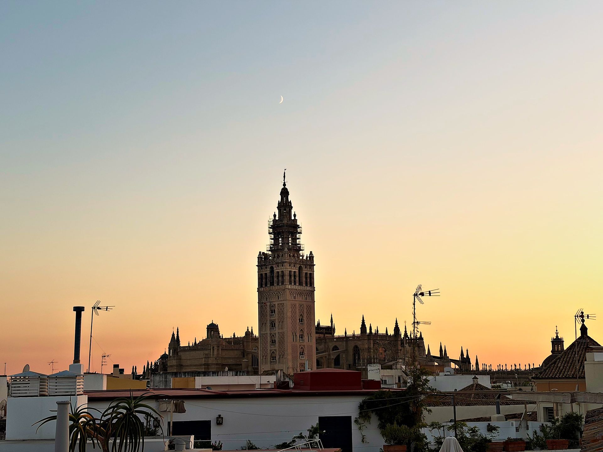 The Giralda silhouetted against a soft orange dusk sky over Seville's rooftops