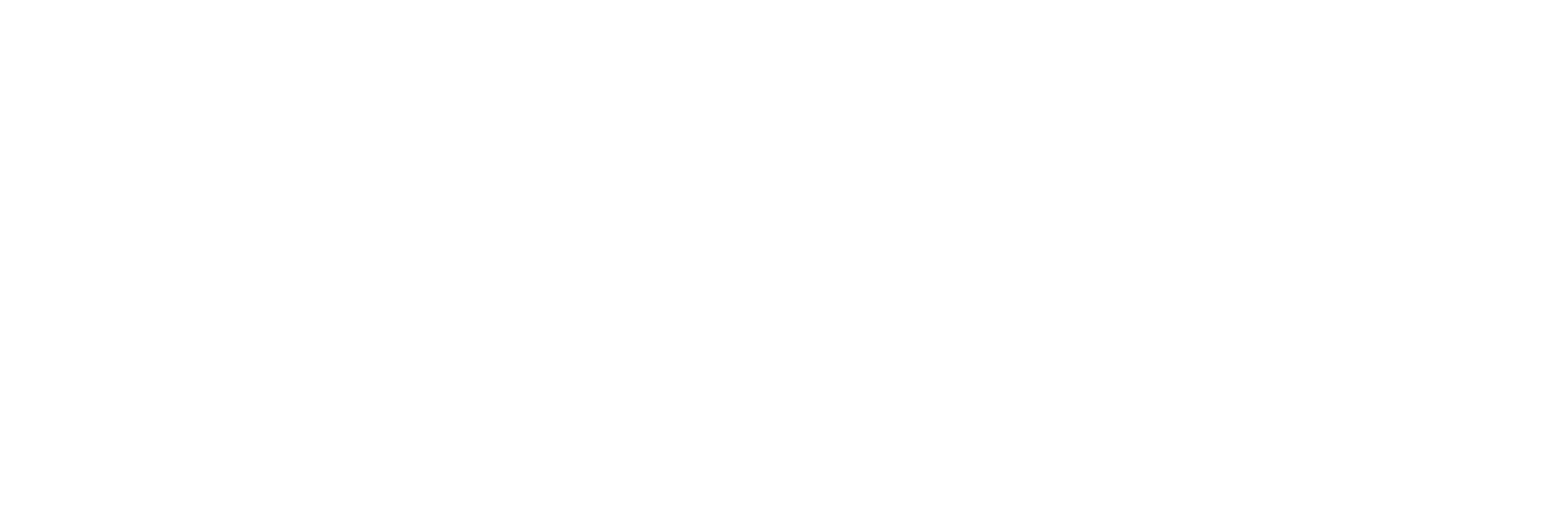 1st Choice Home Team logo