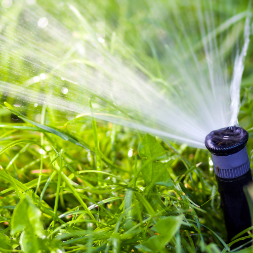 Choosing The Best Sprinkler | Lawn Irrigation | RainCheck Irrigation