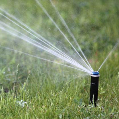 Choosing The Best Sprinkler | Lawn Irrigation | RainCheck Irrigation