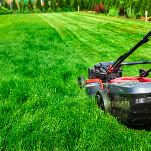 Lawn Irrigation | Is It A Smart Choice? | RainCheck Irrigation