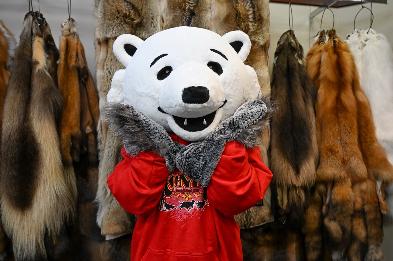 Mascot Rondy Bear