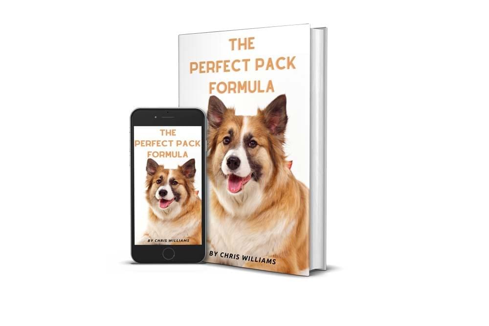 Perfect Pack Magazine The Perfect Pack Formula