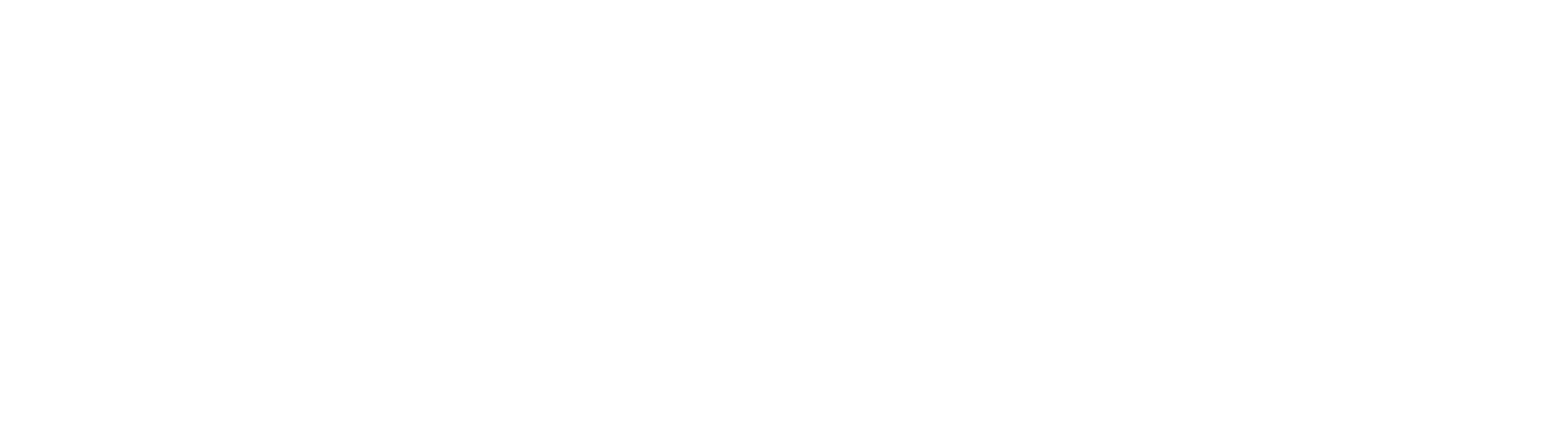 Dassault Falcon