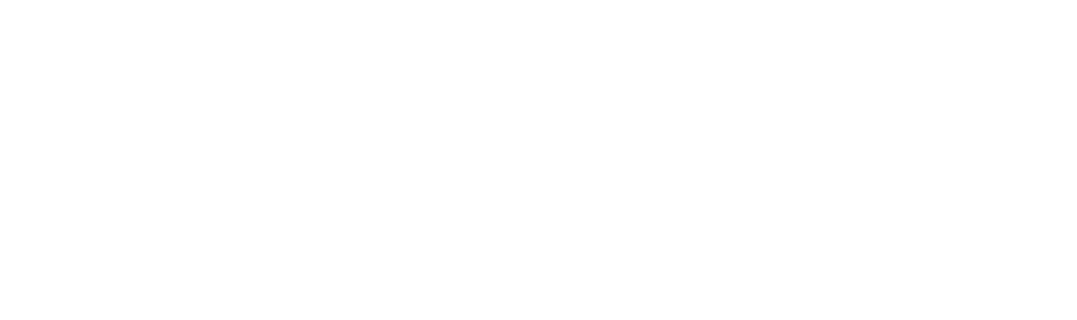 Leonardo