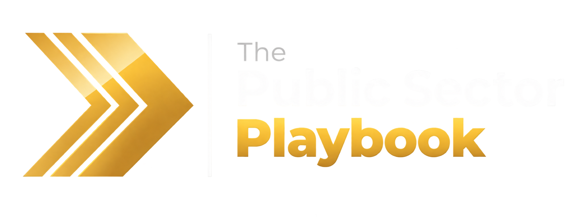 The Public Sector Playbook