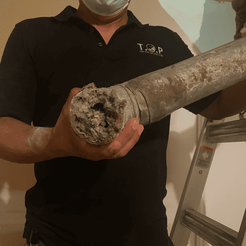 Odor Removal Services in Dallas, TX