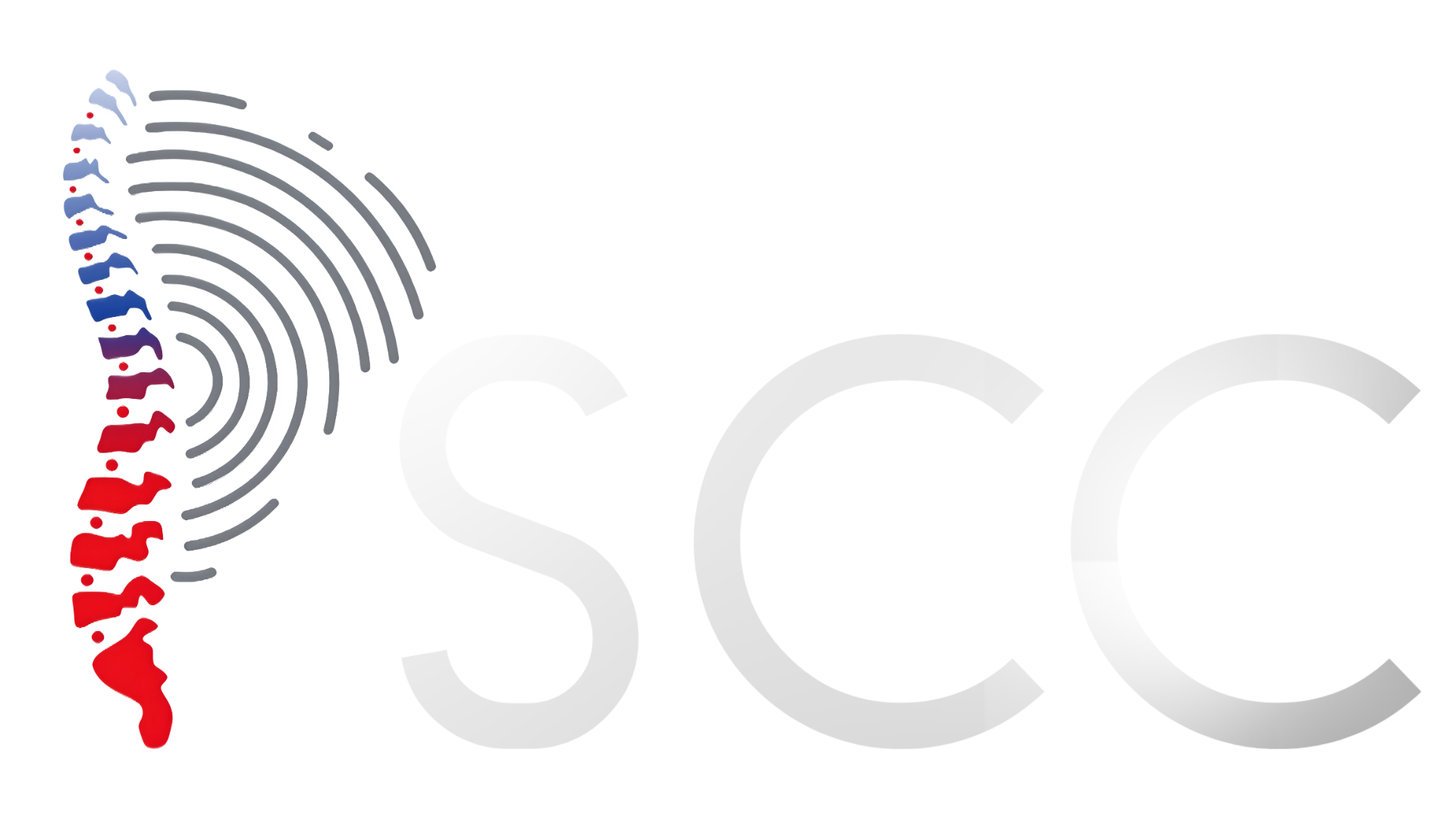 Sociedad Chilena de Columna