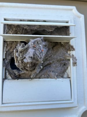 {{ custom_values.service_1 }} in {{custom_values.area_1})